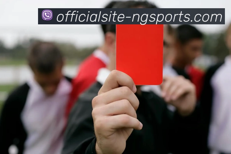 ng体育APP 高清赛事图